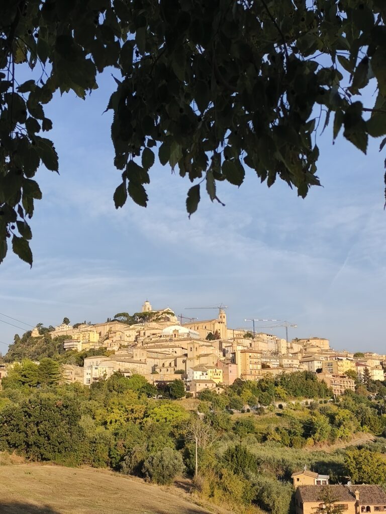 GIORNATA FORMATIVA FERMANA SULLA PRESA IN CARICO NELLE MALATTIE INFIAMMATORIE DEMIELINIZZANTI DEL SISTEMA NERVOSO CENTRALE – IV EDIZIONE – 2026
